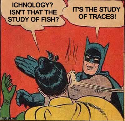 Ichthyonology